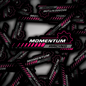 Momentum Racing Sticker